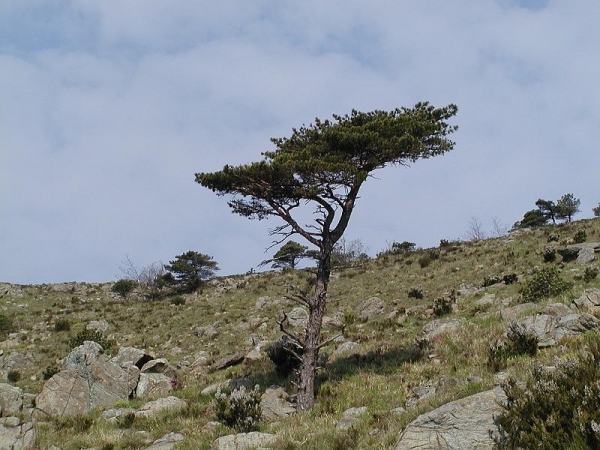 Monti Liguri