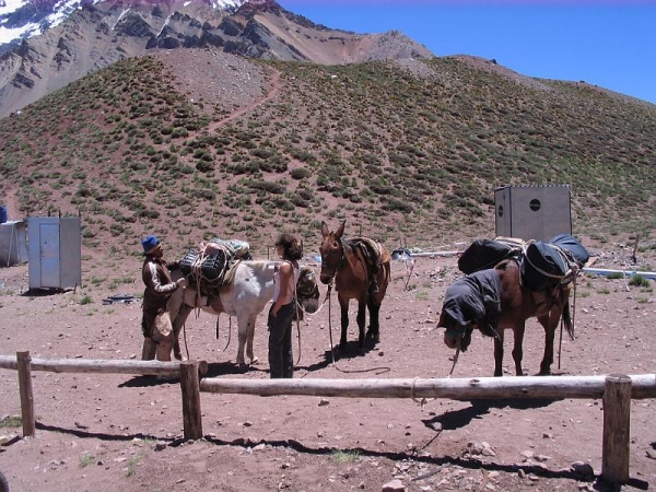 Aconcagua