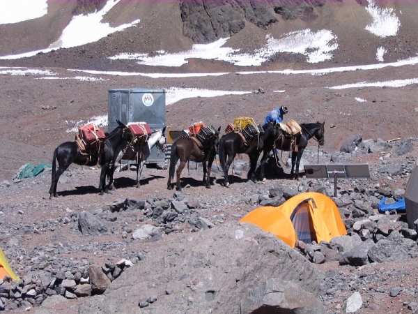 Aconcagua